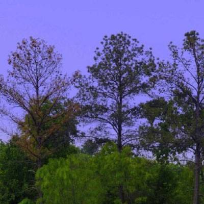 金年会棋牌截图